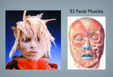 slides_botox_frozenface